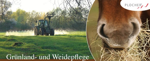 Bodenbelebung Weidehygiene ohne Parasiten